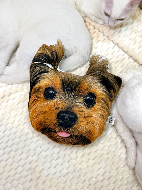 Combo “Pra sempre, Júlio”