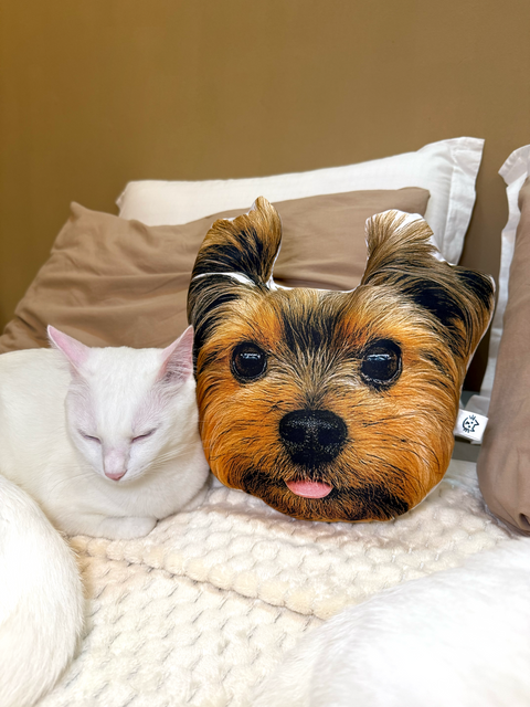 Almofada “Abraço no Júlio”