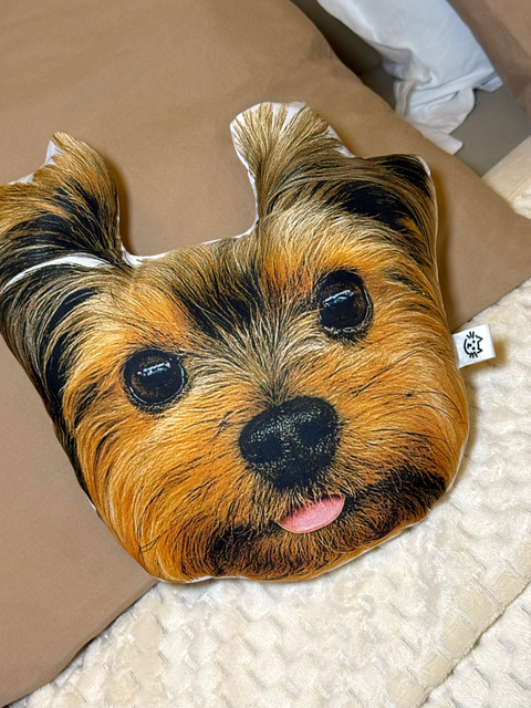 Almofada “Abraço no Júlio”