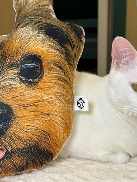 Combo “Pra sempre, Júlio”