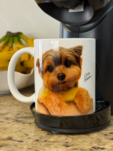 Combo “Pra sempre, Júlio”