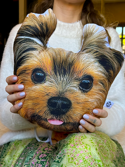 Combo “Pra sempre, Júlio”